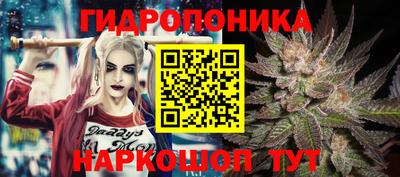 шишки Ирбит