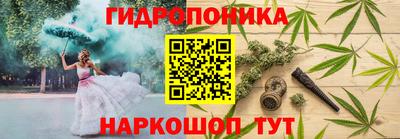шишки Ирбит