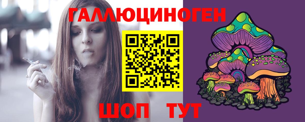 Псилоцибиновые грибы Psilocybine cubensis Кызыл